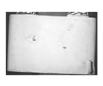 Appearance defect detection of incoming materials for lithium batteries and foils